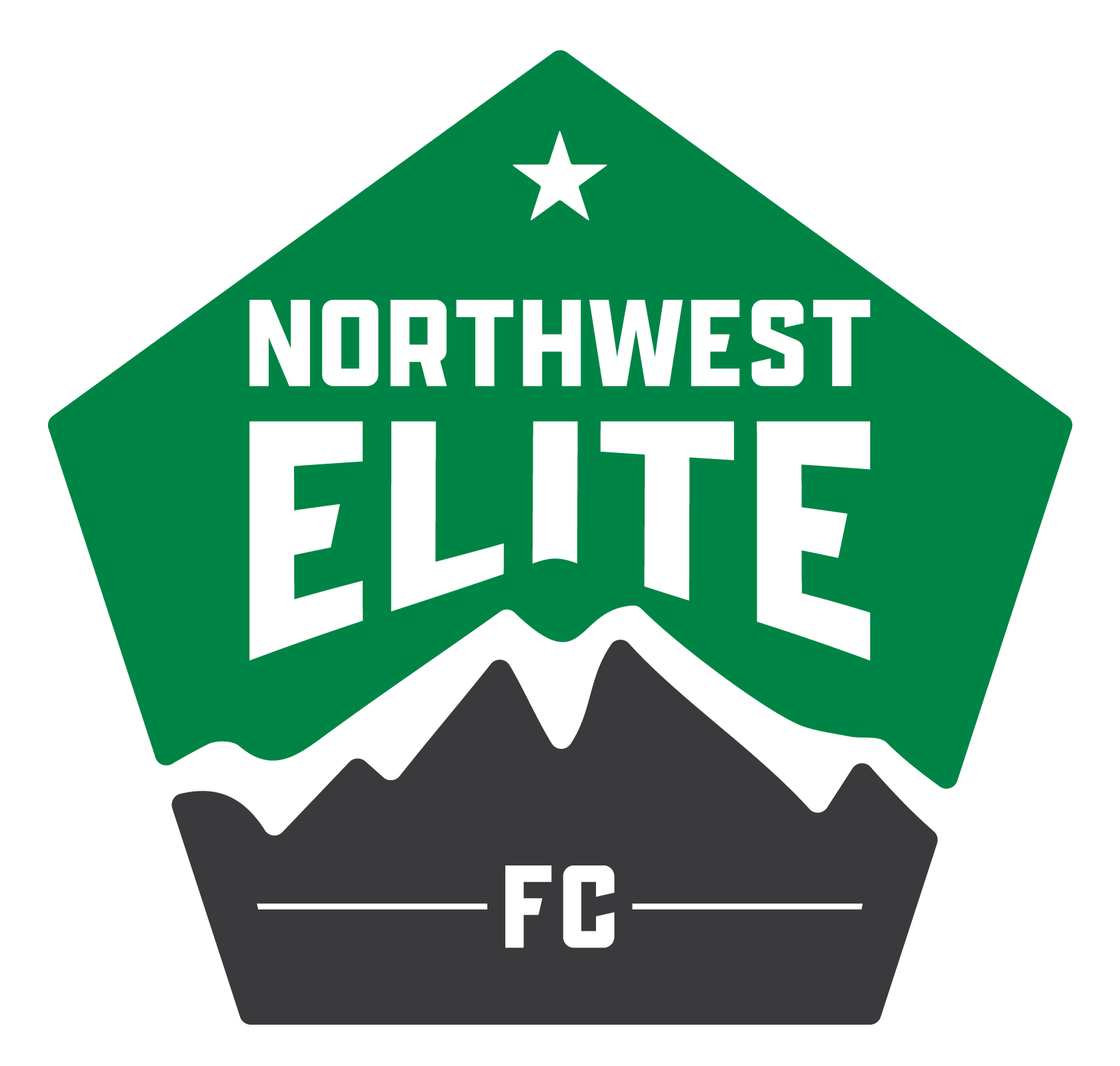 NW Elite Logo